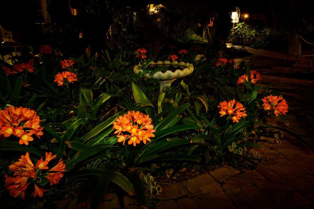 Avondrust Guest House Graaff-Reinet Exterior foto